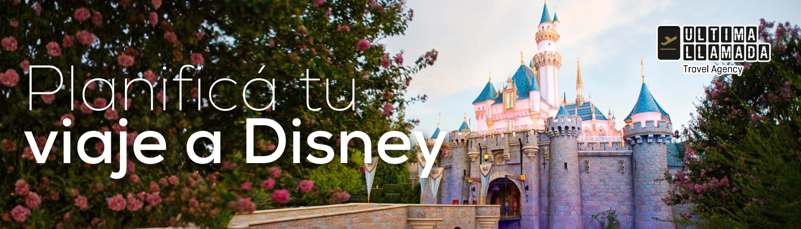 Viaja a Disney durante todo el a�o